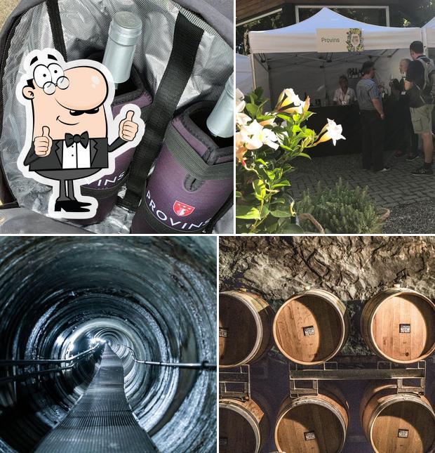 Ecco un'immagine di Provins