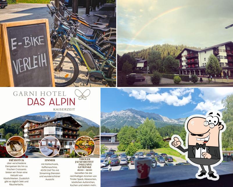 Hotel Alpin Scheffau