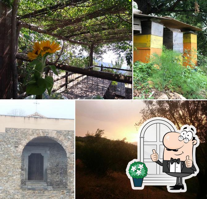 La Baita - trattoria con orti vivibili