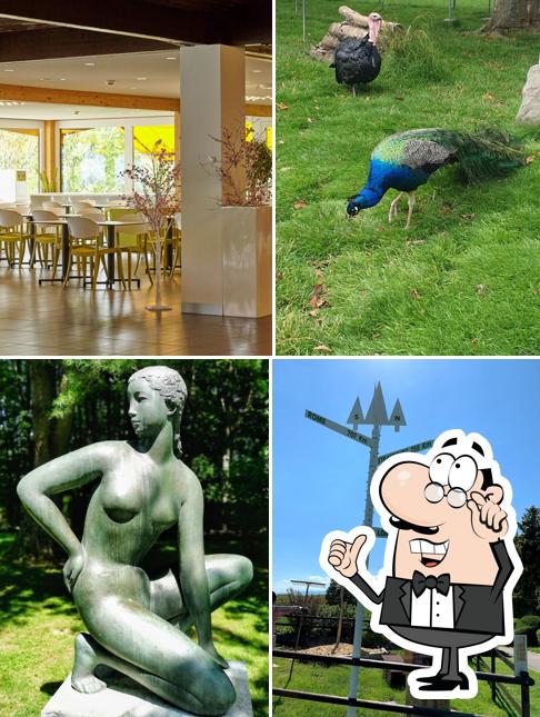 Gli interni di Fondation du Parc Pré Vert du Signal de Bougy