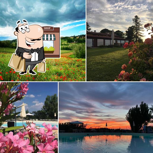 Guarda gli esterni di Agriturismo La Rondinella