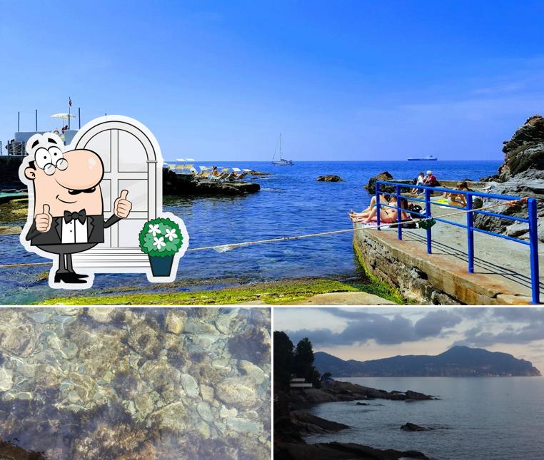Guarda gli esterni di Blu Marlin