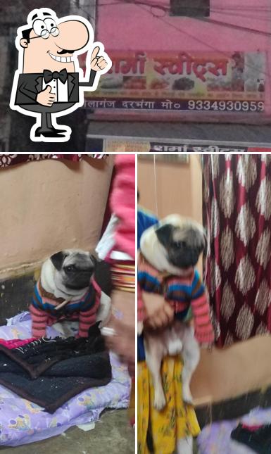 See the photo of Sharma Sweets
