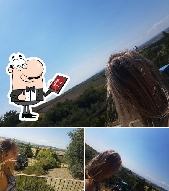 Guarda gli esterni di Ristorante Agriturismo da Thaby