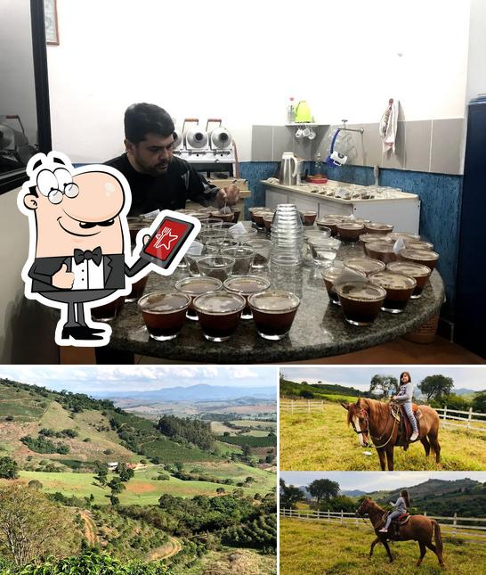 ML Comercio de Cafe (Mane Mendonca)