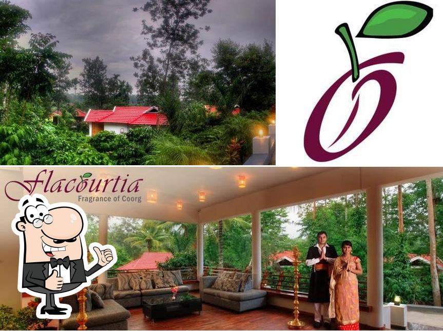 See this image of Flacourtia Coorg