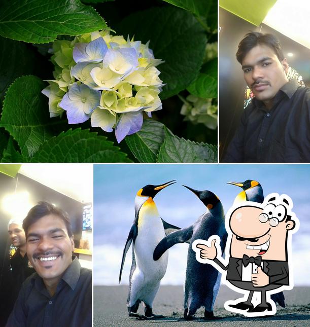 See the image of Samar singh