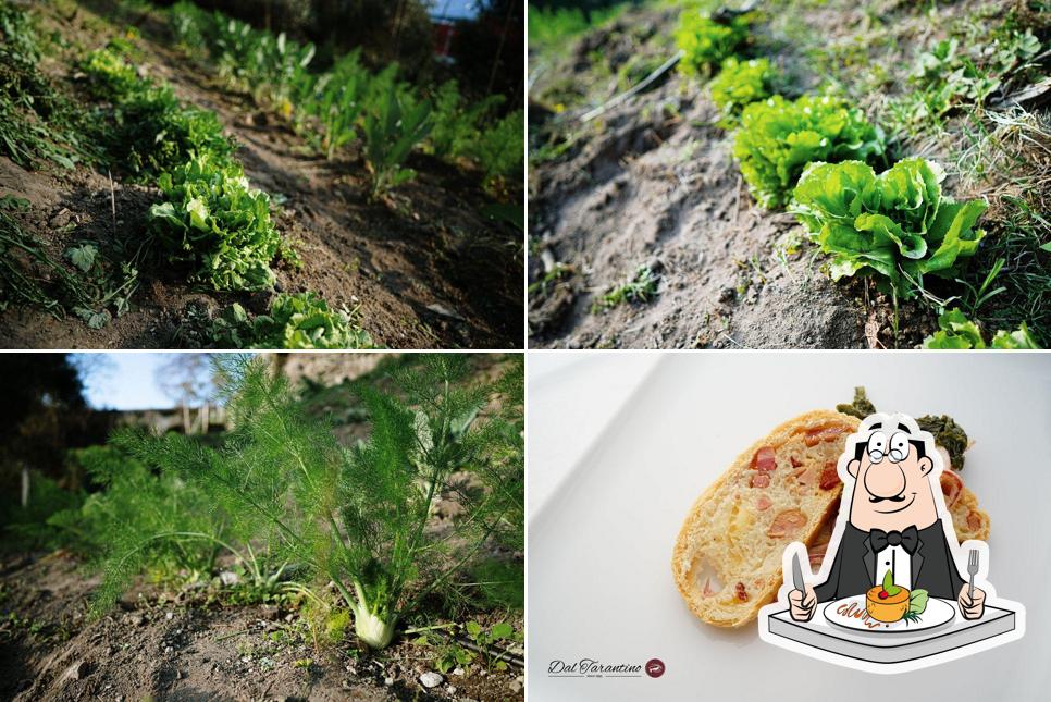 Cibo al Ristorante Dal Tarantino