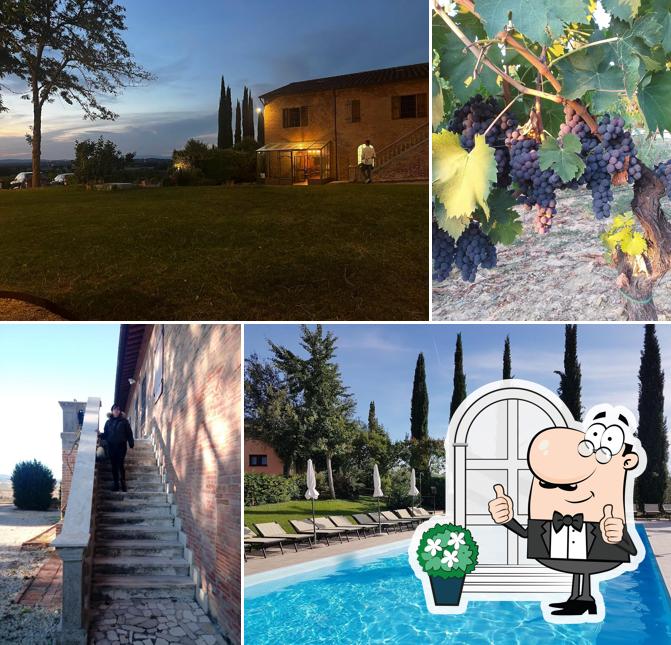 Agriturismo il Greppo