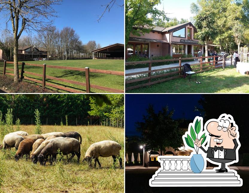 Puoi goderti l'aria fresca dal dehors di Al Segnavento