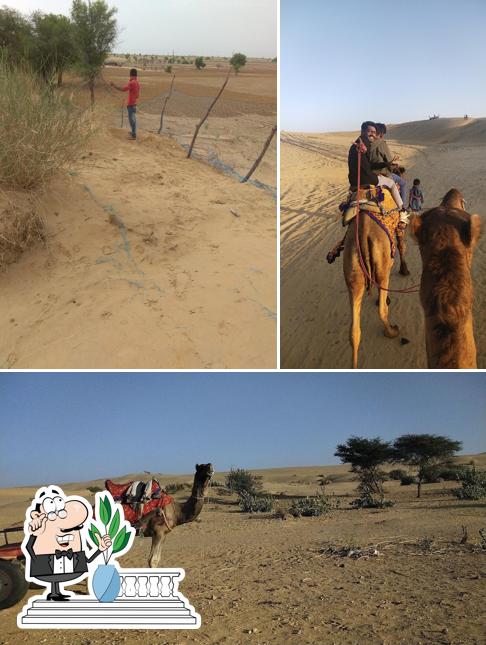 Check out how KISSAN VEG & NON- VEG RESTAURANT looks outside