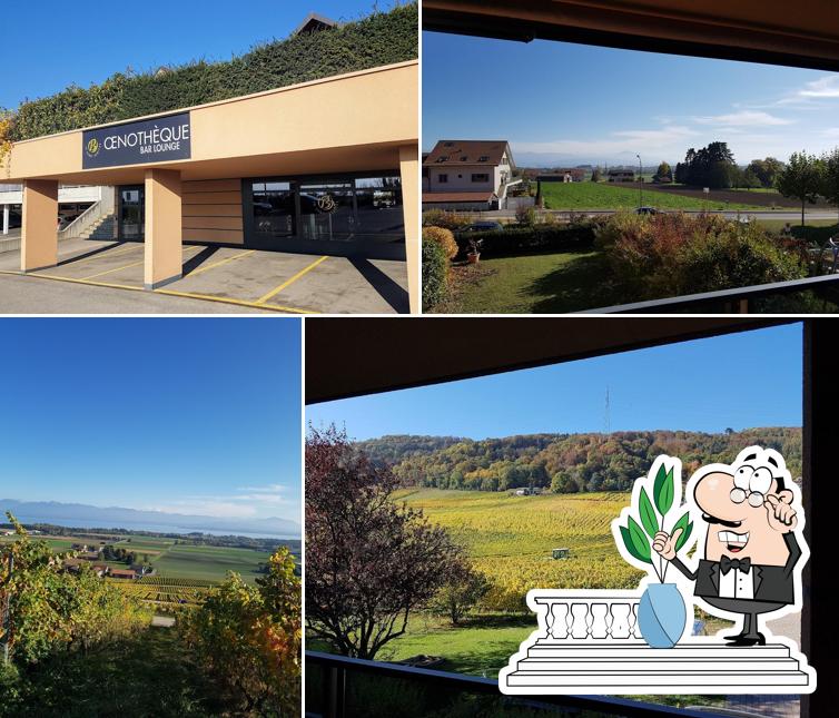 Gli esterni di Oenothèque Bar Lounge Cave Beetschen