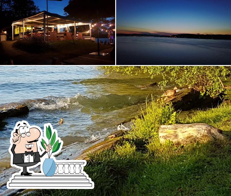 Puoi goderti l'aria fresca da seduto all'esterno di Insel Lützelau