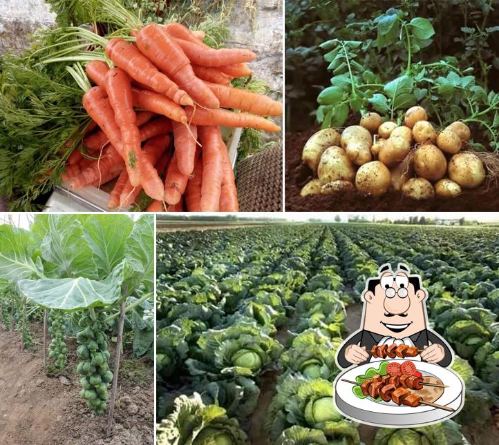 Food at Green Fields