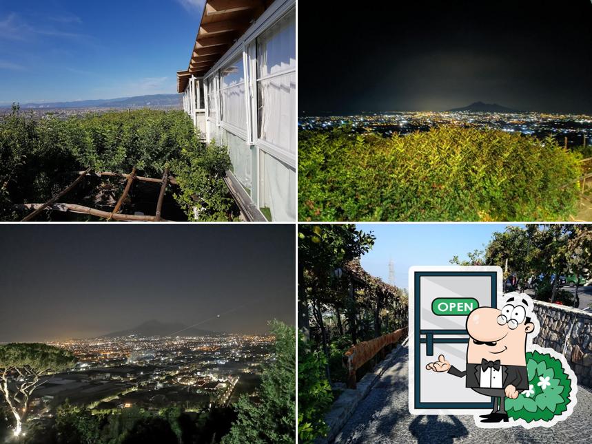 Curiosa tra l'area esterna di Villa Palmentiello