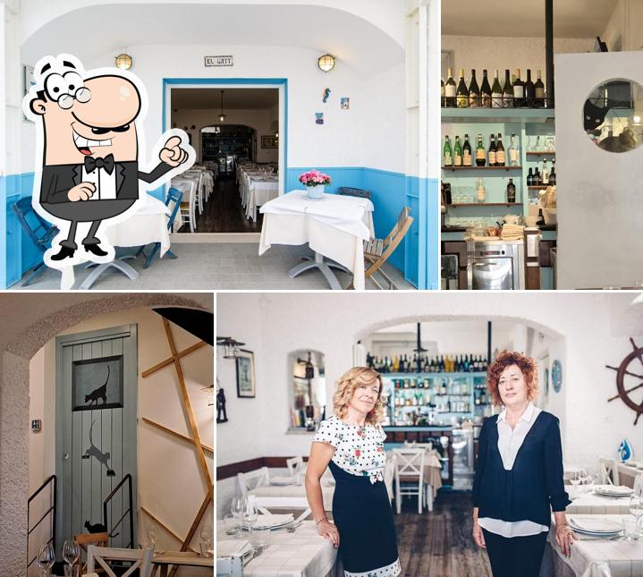 Siediti a un tavolo di El Gatt Ristorante di pesce-B&B lungomare Marotta