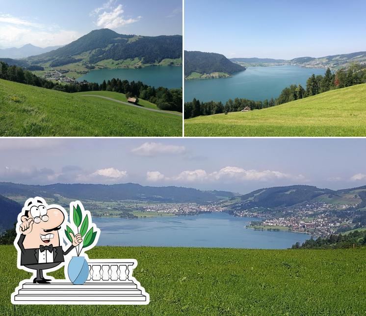 Kutschenfahrten Nussbaumer