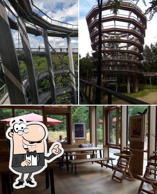 Restaurant am Baumwipfelpfad - Ratmann Gastronomie GmbH, Ebracher Forst ...