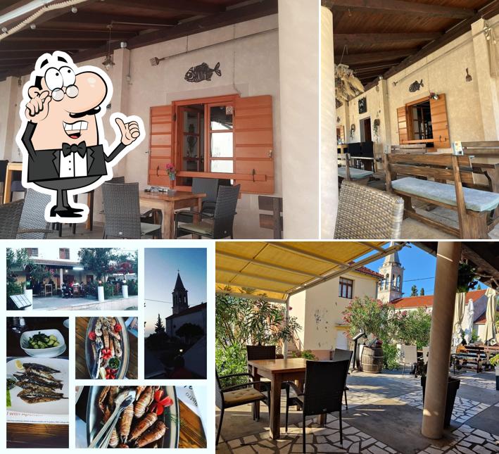 Dai un'occhiata agli interni di Feral