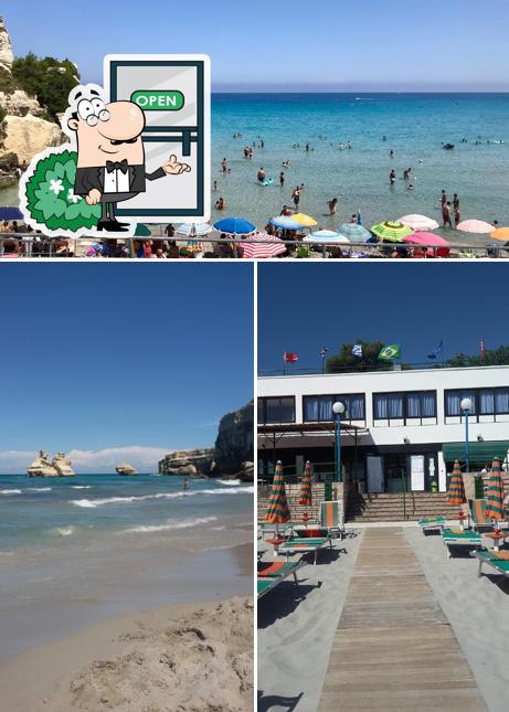 Guarda gli esterni di Lido L'Orsetta