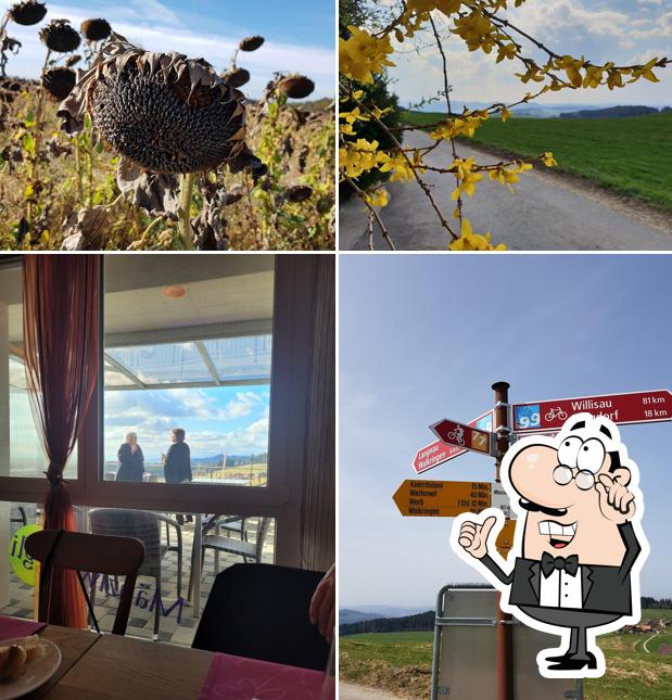 Dai un'occhiata agli interni di Mänziwilegg