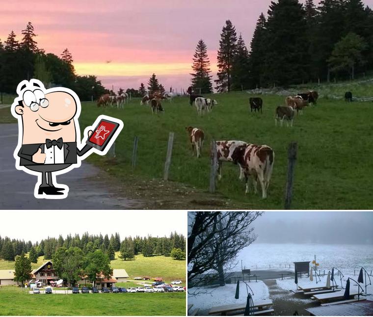 Curiosa tra l'area esterna di Métairie de la Grand'Vy