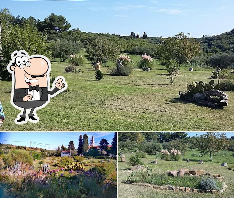 Guarda gli esterni di Vidin arboretum