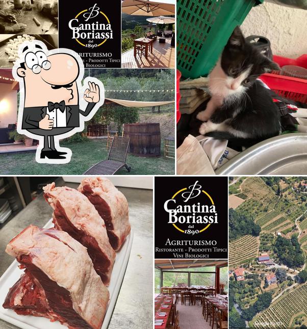 Agriturismo Cantina Boriassi