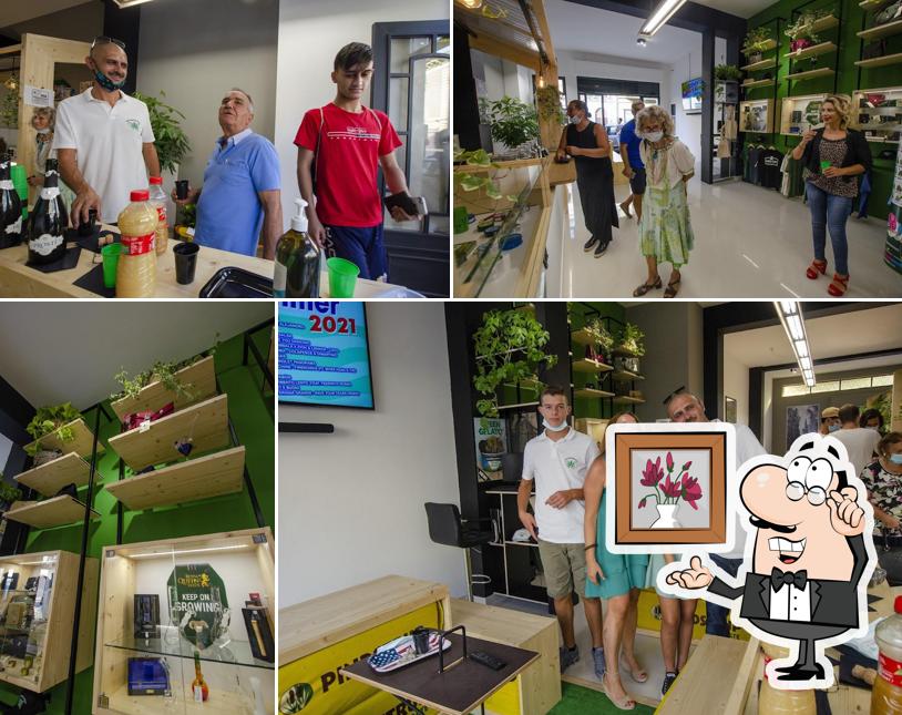Siediti a un tavolo di The Grower Sicily • Canapa Store