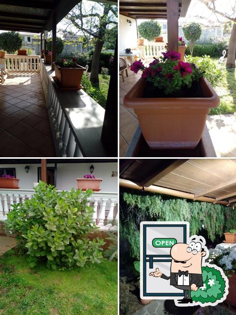 La Collina