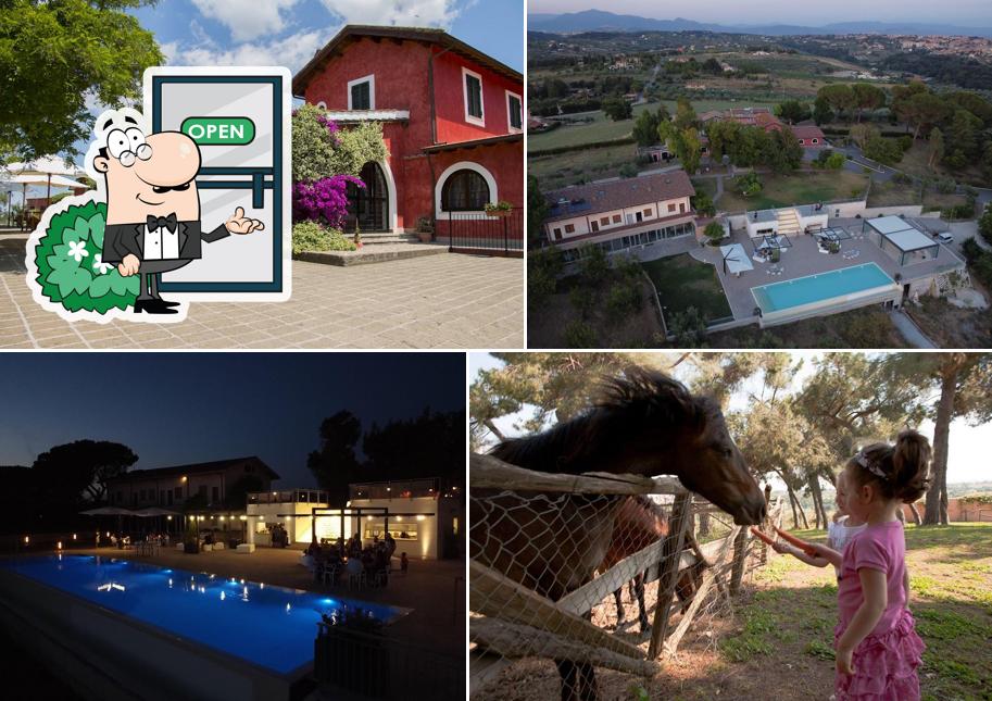 Puoi goderti l'aria fresca da seduto all'esterno di Agriturismo la Cerquetta