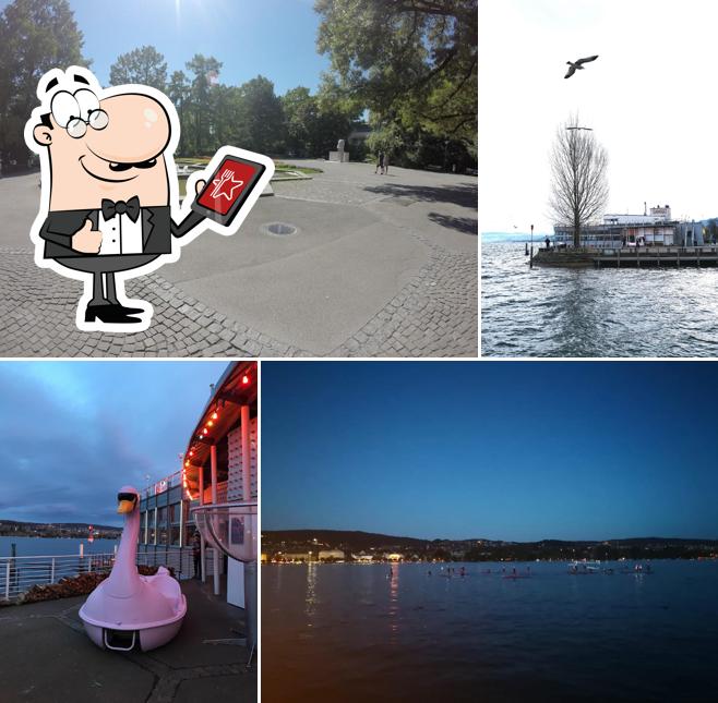 Gli esterni di Quai 61