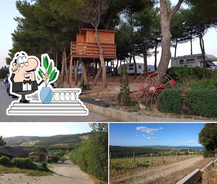 Goditi la vista dagli esterni di Agriturismo Le Rondini Di San Bartolo