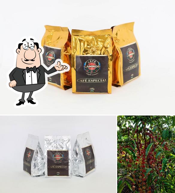 Café Canindé - Robusta Amazônico