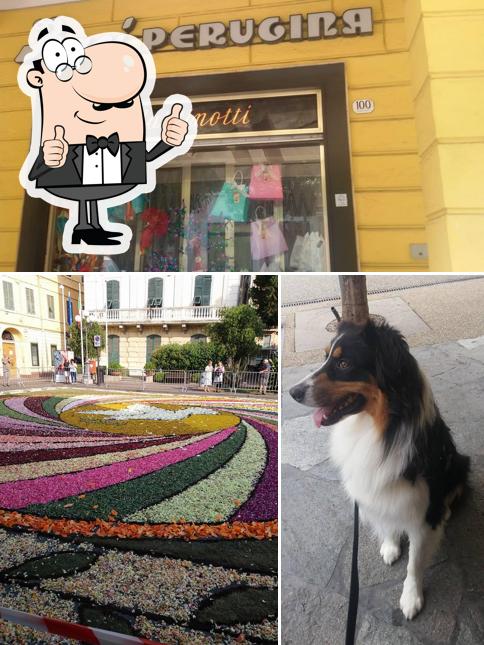 Ecco un'immagine di Pasticceria Martinotti Di Orvieto Carlo E Orvieto Sas