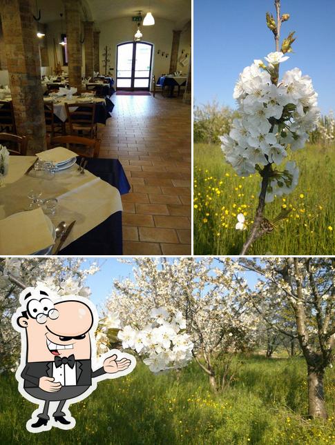 Vedi questa foto di Agri Fondo Montecuccoli