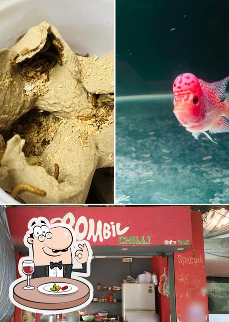 Among various things one can find food and interior at Bombil Chilli