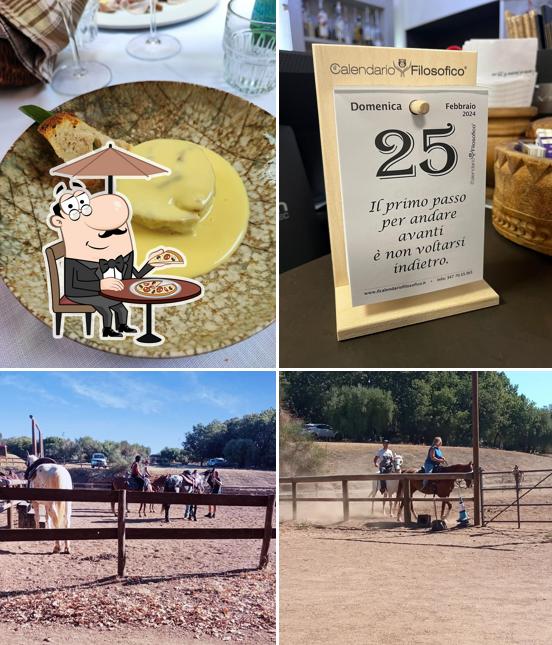 La Rosa Bianca si caratterizza per la esterno e bevanda