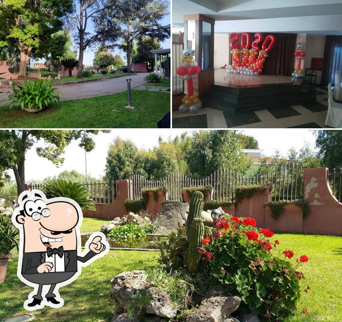 Curiosa tra l'area esterna di Hotel Ristorante Il Nido di Aprilia