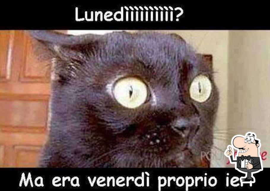 Guarda questa immagine di Pizzeria Snoopy 2