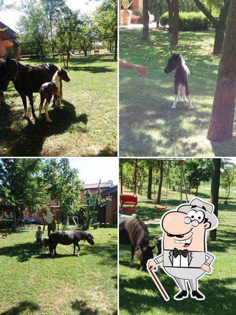 Gli esterni di Agriturismo Agriverde