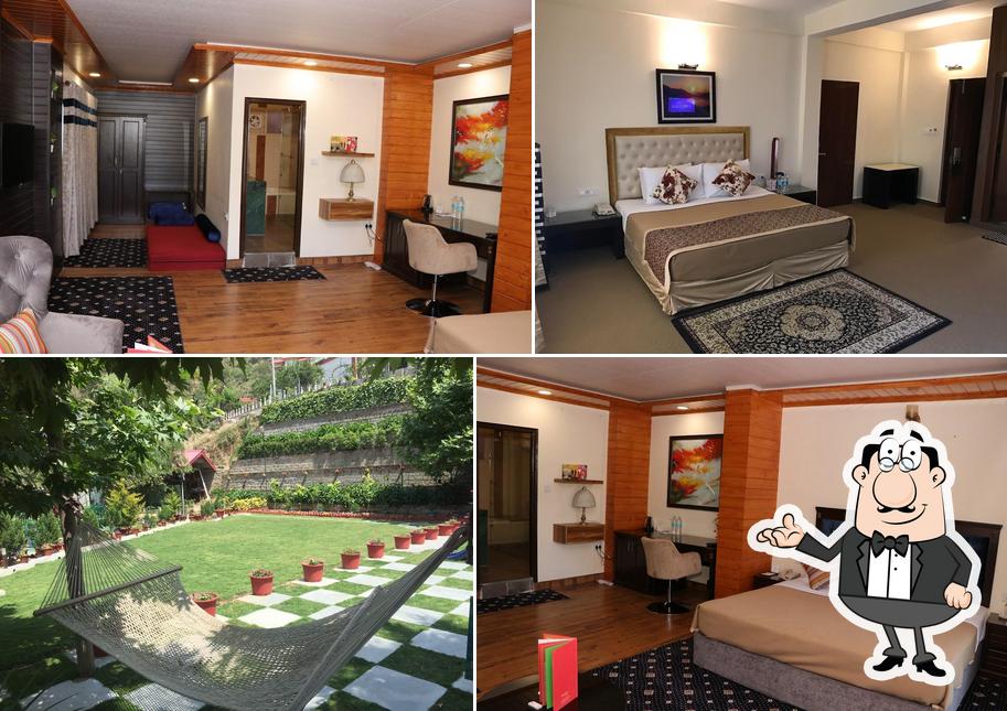Maple Resort - Chail, Solan, Shimla