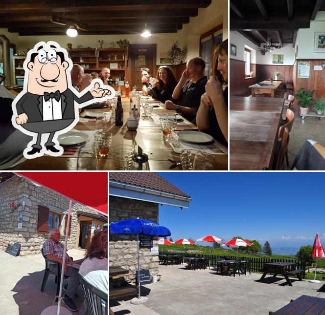 Gli interni di La Roche-Devant