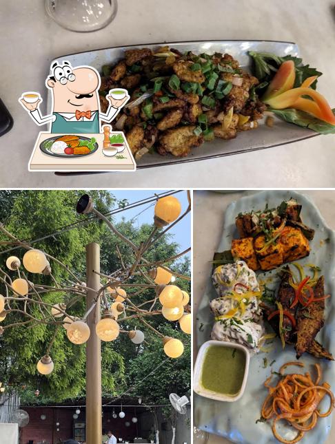 Fried calamari at The Big Tree Cafe Golf Course Road Big Tree Cafe