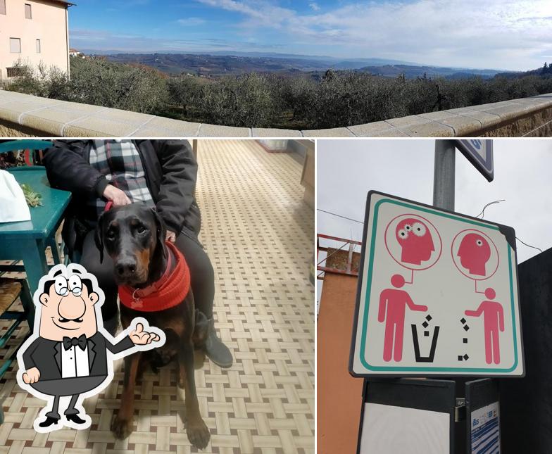 Gli interni di Bar Alimentari Tabacchi La Collina