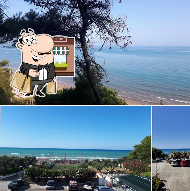 Curiosa tra gli esterni di Olimpia Casa Vacanze