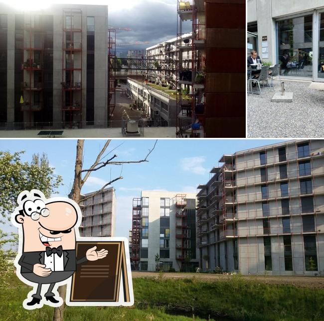 Gli esterni di ZwiBack