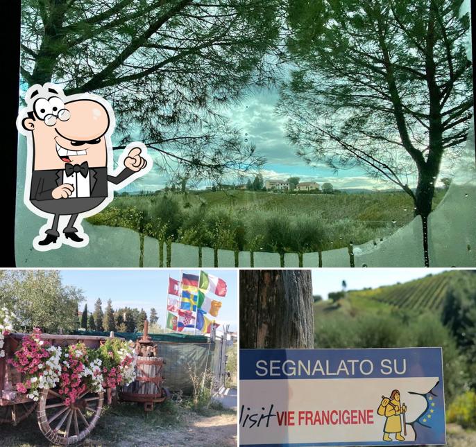 Goditi la vista dall'area esterna di Agricamping area di sosta camper Poggio ai Pini (Wine Camping )