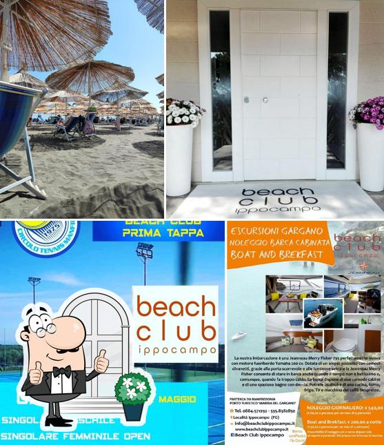 Beach Club Ippocampo