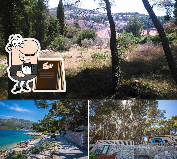 Goditi la vista dagli esterni di Rokotin